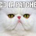 Mr_Wacek