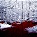 red_snow