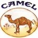 camel90