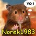 Norek1983 icon