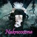 Nakrecooona_Wariatka