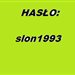 slon1993