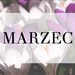 PAN.MARZEC20222