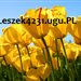 leszek4231
