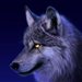 Hogfather77 icon