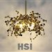 hsi-home.pl