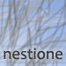 nestione