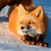 Foxes_My_Love