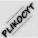 PLIKOCYT