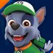 RockyPawPatrol