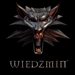 wiedzmin-t