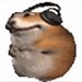 Hamster2346