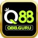 Q88guru