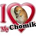 chomik_1488