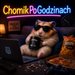 ChomikPoGodzinach