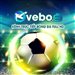 vebozzvcc