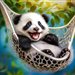 panda68
