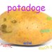 Lemon_Jwce