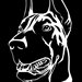 StrayDogg