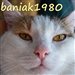 BANIAK-1980