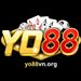 yo88vnorg