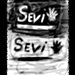 Sevi1496