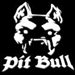 PITBUL50
