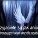 Gosia-Aniol