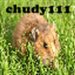 chudy111