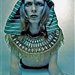narion6