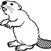 Bear_Beaver
