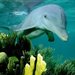 Anastazja1988