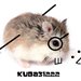 kuba31222