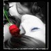 karolcia19.91