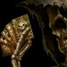 BlackDeath666