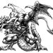dragon20051