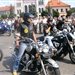 lobo526