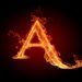 AvisAsh