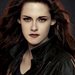 bella.swan.cullen