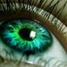 GreenEye_