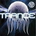 ilovetrance_84