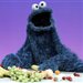 cookie_monster13