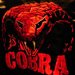 COBRA1990