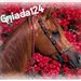 gniada124