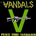 VanDaLsTeam