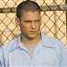 scofield23