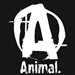Animal-HD