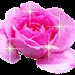 Dorin5