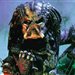 predator184