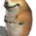 norek1222